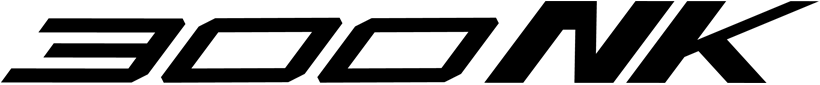 300NK Logo